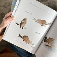 Load image into Gallery viewer, Emily Lex Studio Build book