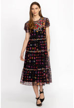 Load image into Gallery viewer, Johnny Was Rheia Tiered Mesh Dress (Slip)