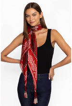 Load image into Gallery viewer, Johnny Was Zwina Silk Scarf
