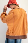 Load image into Gallery viewer, Easel Oversized Washed Terry Pullover
